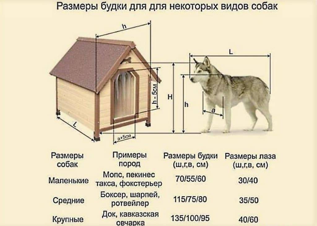 Размеры вольера для немецкой овчарки чертеж с размерами