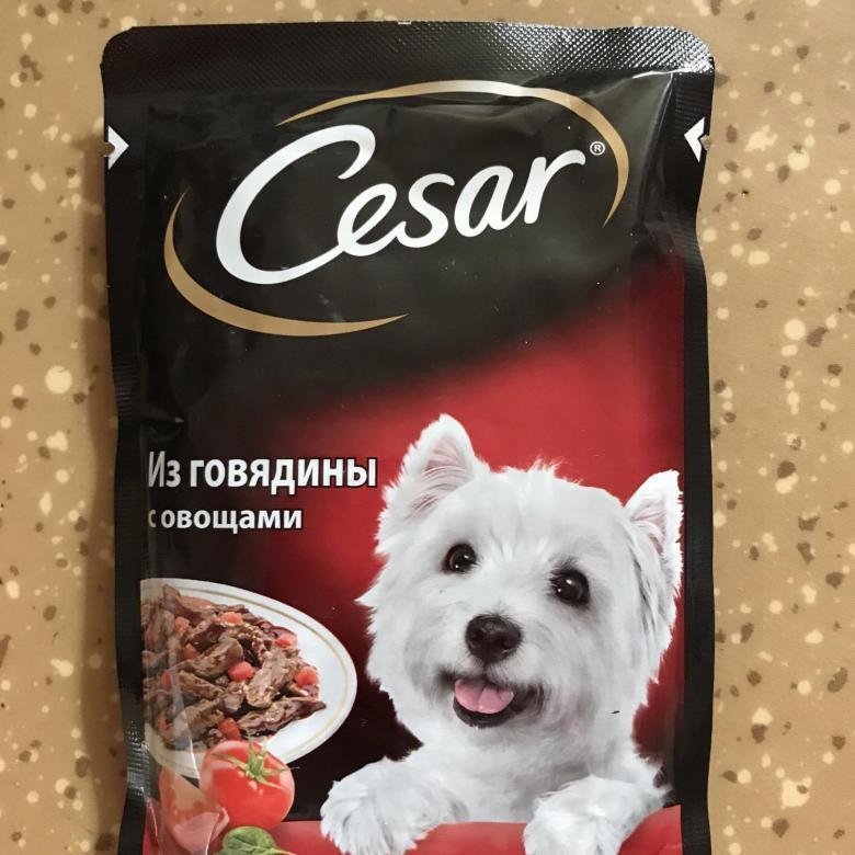 Купить корм для собак на авито. Корм Кесар для собак. Caesar корм для собак.