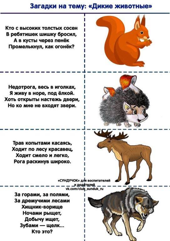 Загадки про животных с ответами для 1-2 класса