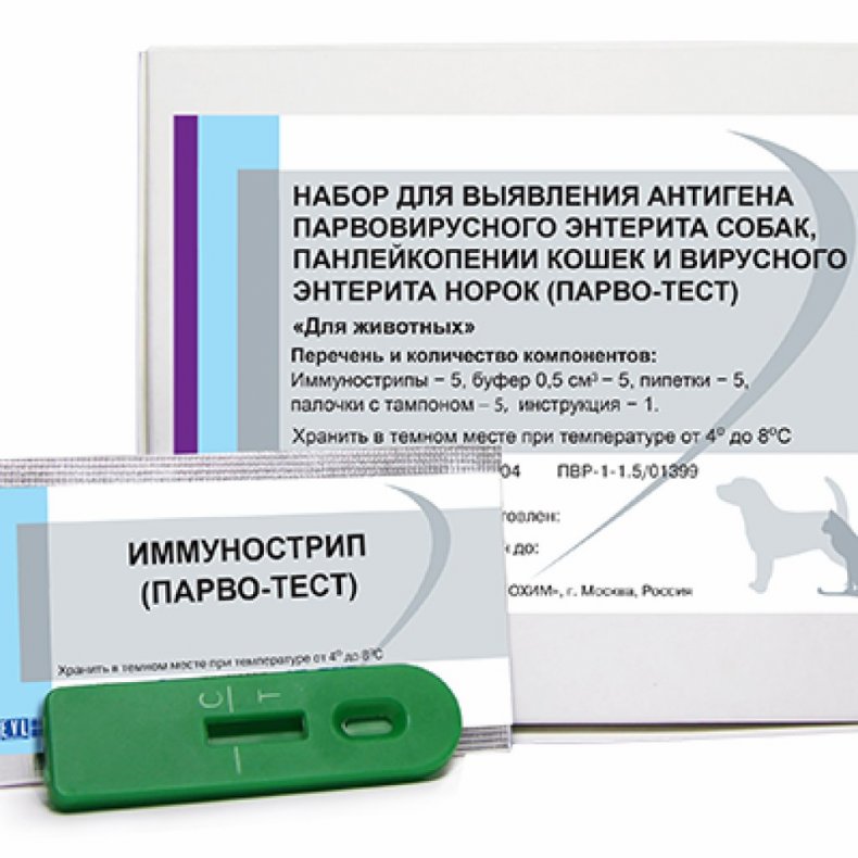 Парвовирусная инфекция собак