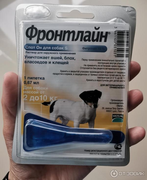 Фронтлайн для собак: выбираем защиту от клещей. специалисты советуют - виды, инструкция, нормы обработок