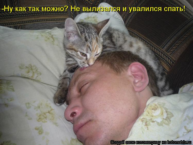 Как приучить кота спать ночами и в утренние часы?