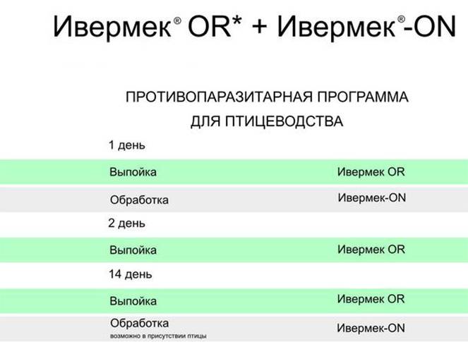 Препарат ивермек, инструкция по применению для кошек: дозировки и состав