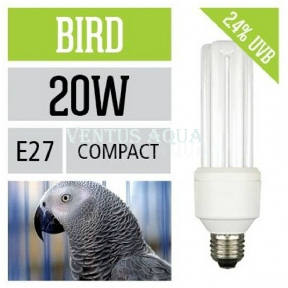 Лампа для попугая: нужна ли, какую выбрать ультрафиолетовую, обычную или аркадия (обновлено)
