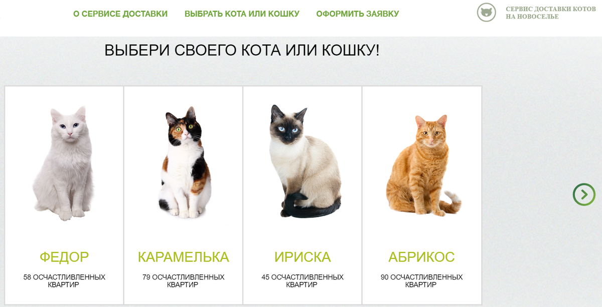 Кот или кошка – кого выбрать?