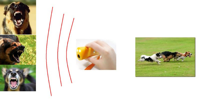 Как действует ультразвуковой отпугиватель собак: воздействие звука на животного