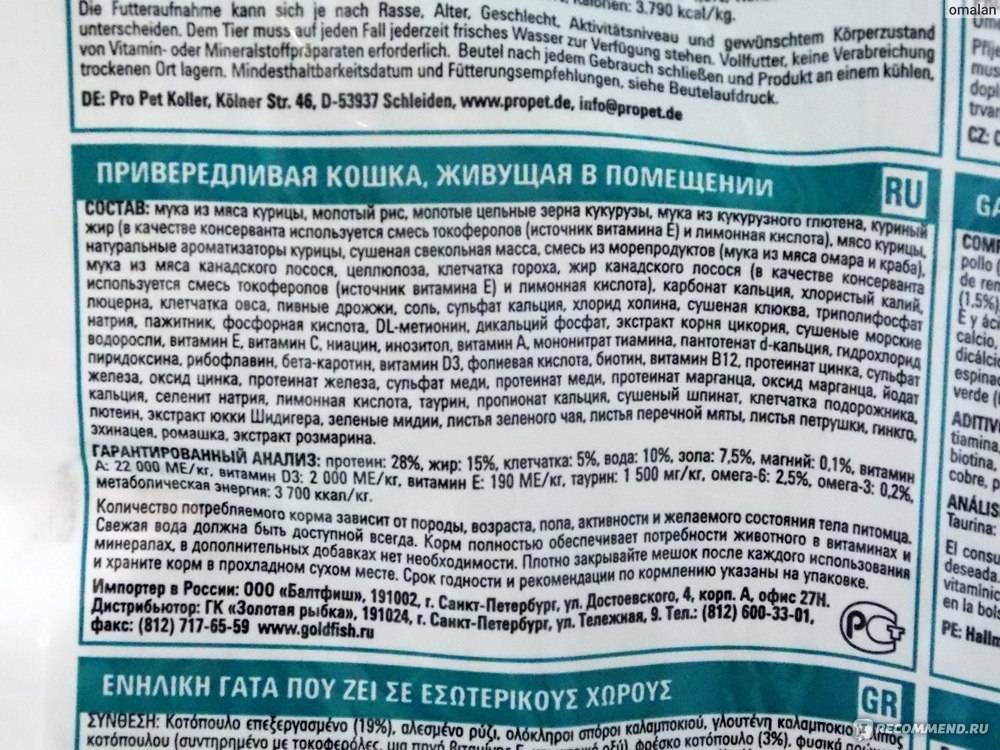 Нутрам для кошек: разновидности, состав, недостатки