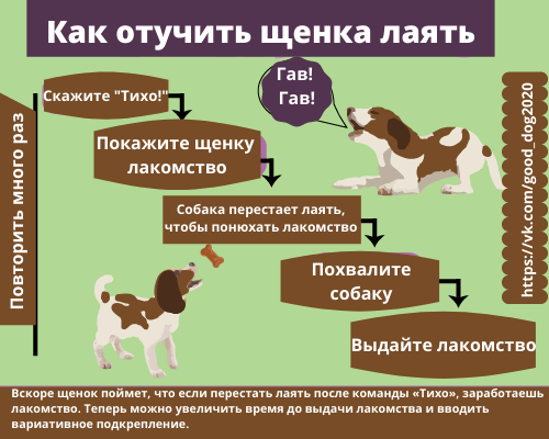 Как отучить собаку лаять на всех подряд: причины и способы воспитания питомца