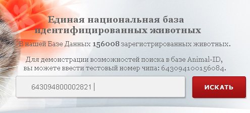 Как проверить родословную собаки: самые простые способы