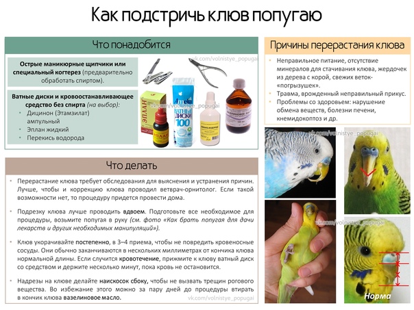 Лечение запоров