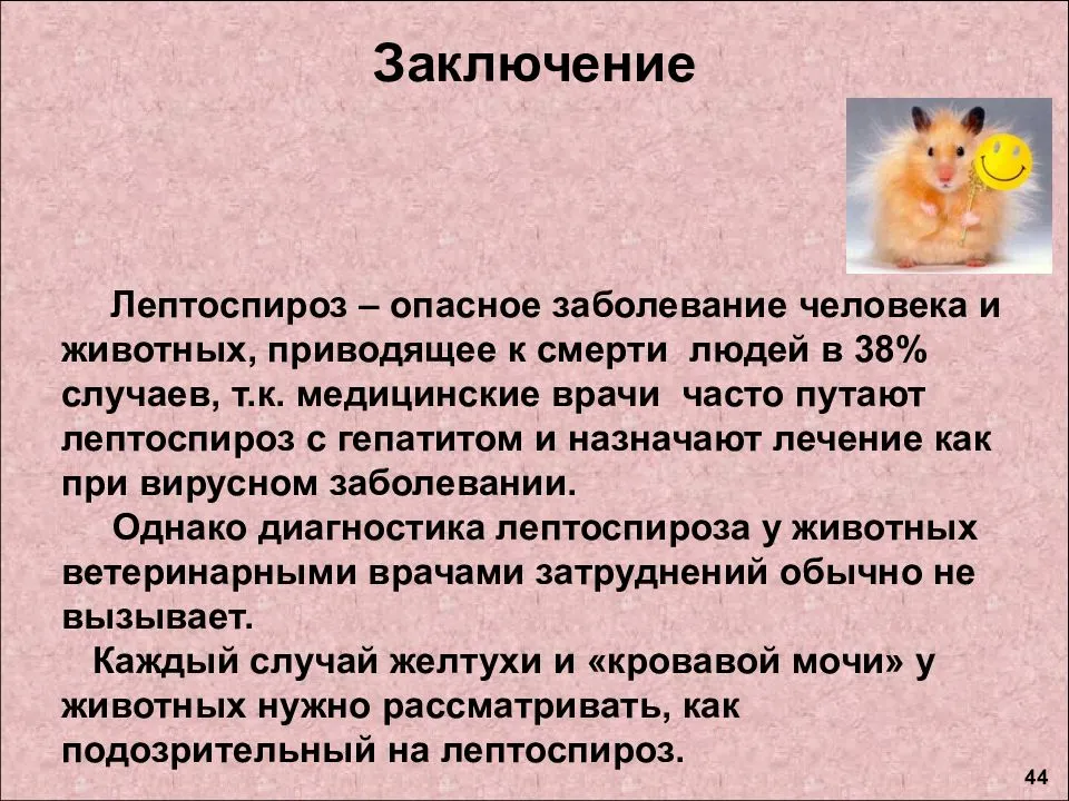 Лептоспироз у собак – причины, симптомы и лечение