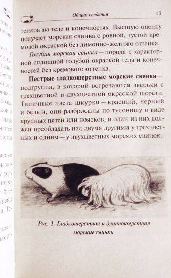Шелти
