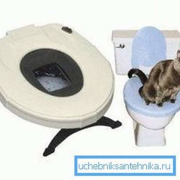 Умные туалеты для кошек: автоматика будет лучшим подарком для вас и питомца