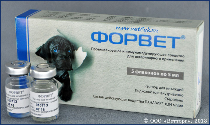 Раствор для инъекций «форвет»: как колоть кошкам и собакам