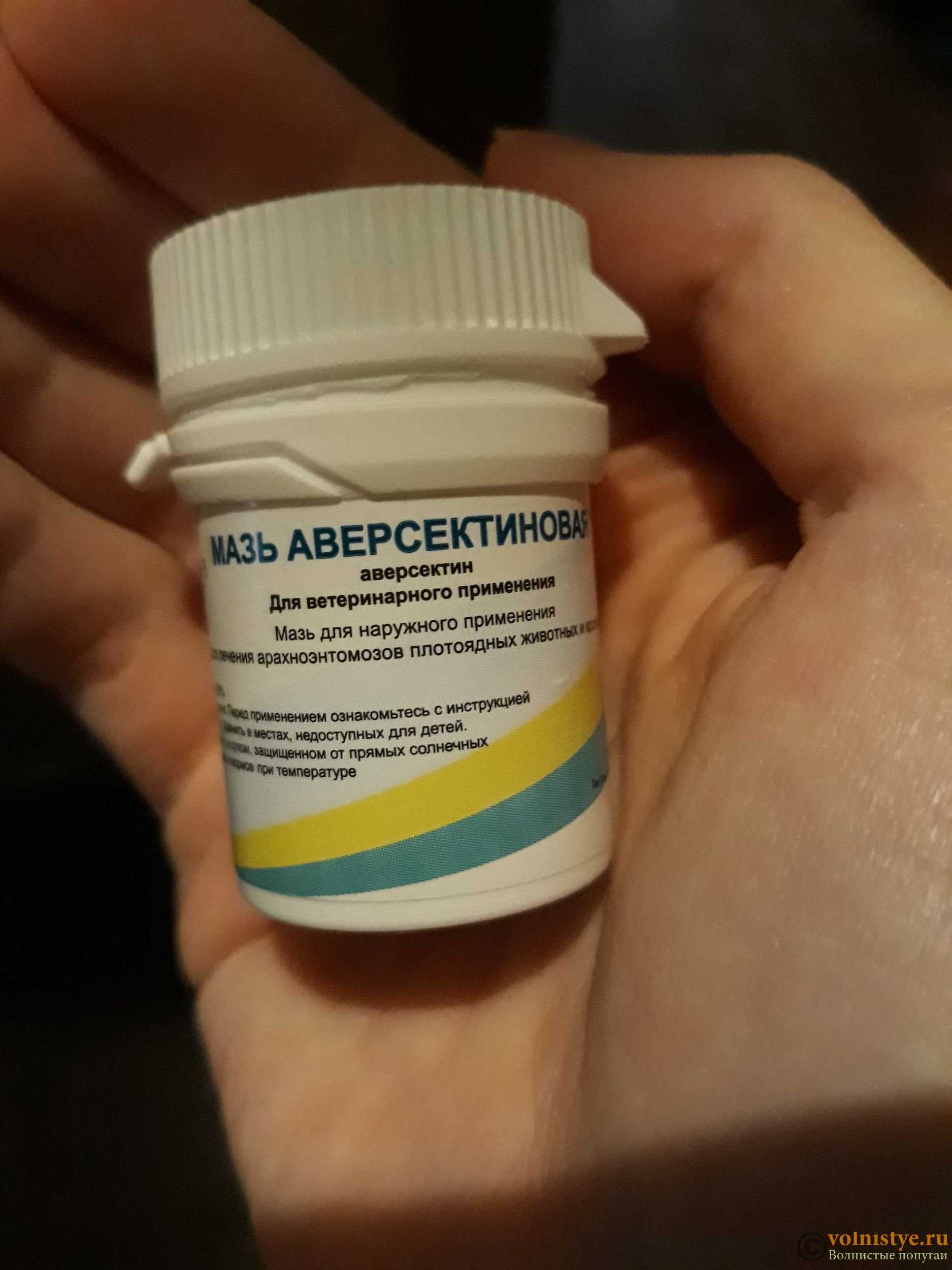 Мазь аверсектиновая для кошек: инструкция к применению, показания