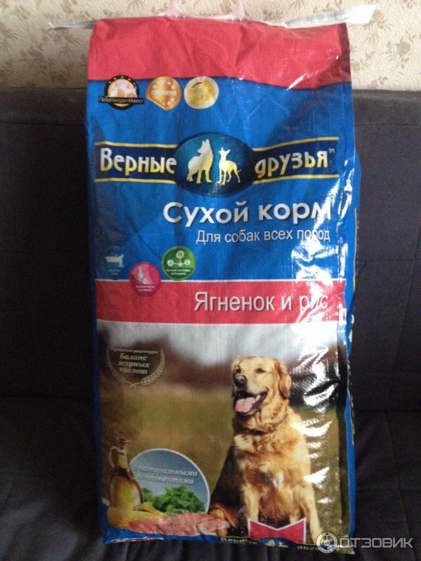 Рейтинг сухих кормов для собак: выбор корма для крупных и мелких пород