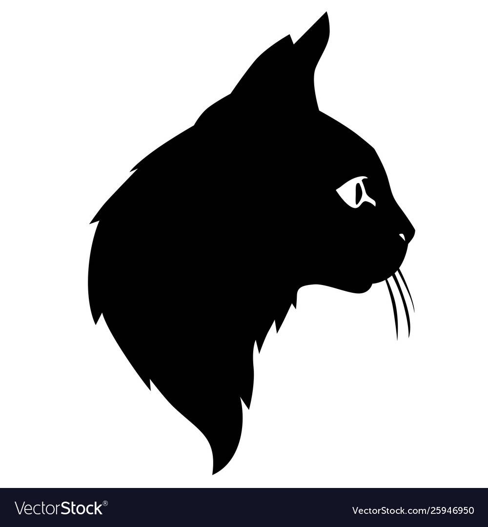 Как рисовать животных: котики! - cg магнит