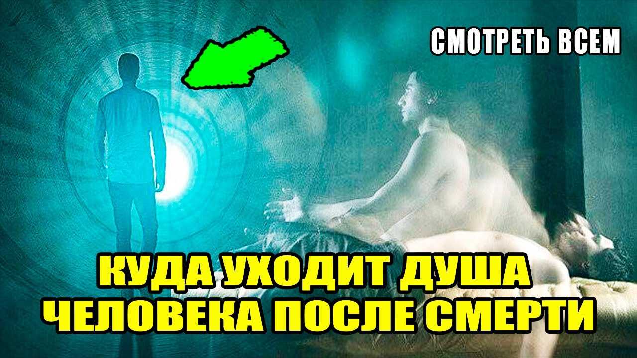 Куда попадает душа кошки после смерти и что с ней происходит на самом деле