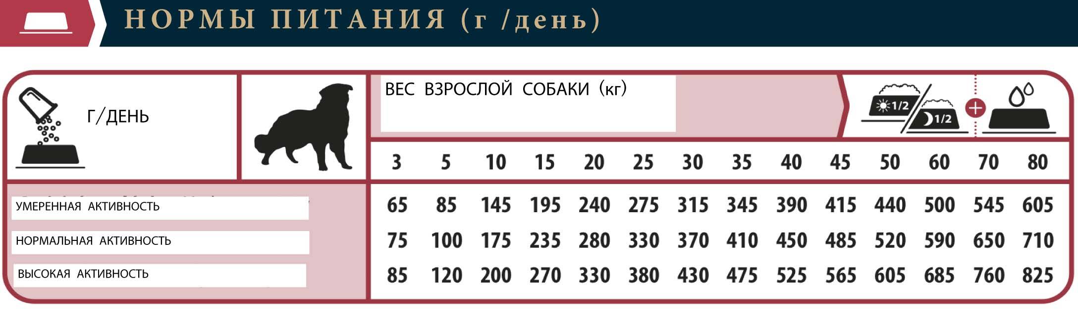 Сколько стоит передержка собаки в сутки
