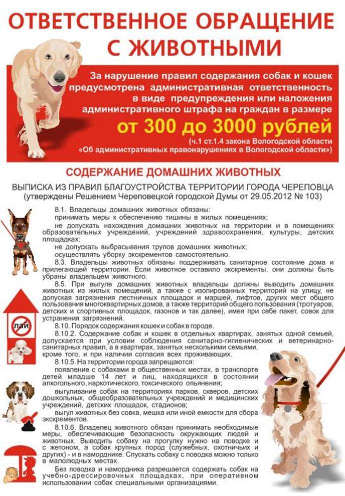 Разрешено ли содержание собаки в доме согласно православным традициям