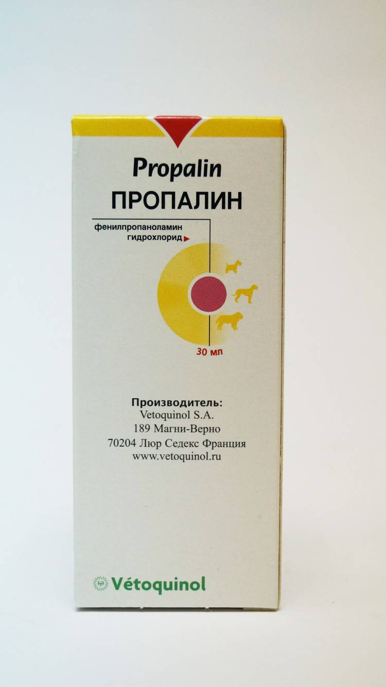 Пропалин для собак – средство от недержания мочи