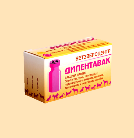 Дипентавак для собак: инструкция по применению отечественного препарата