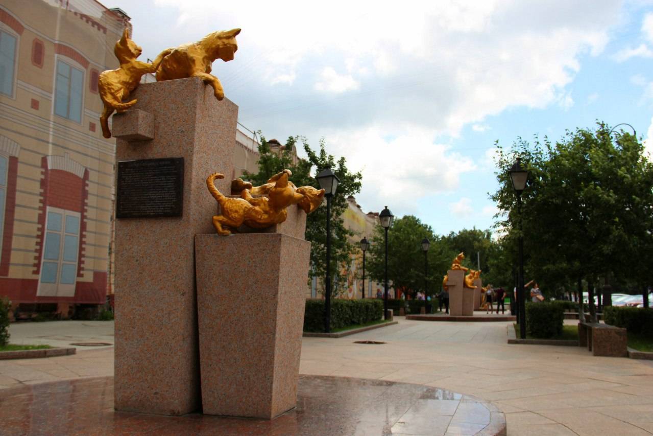 Тайны тюменской аллеи сибирских кошек
