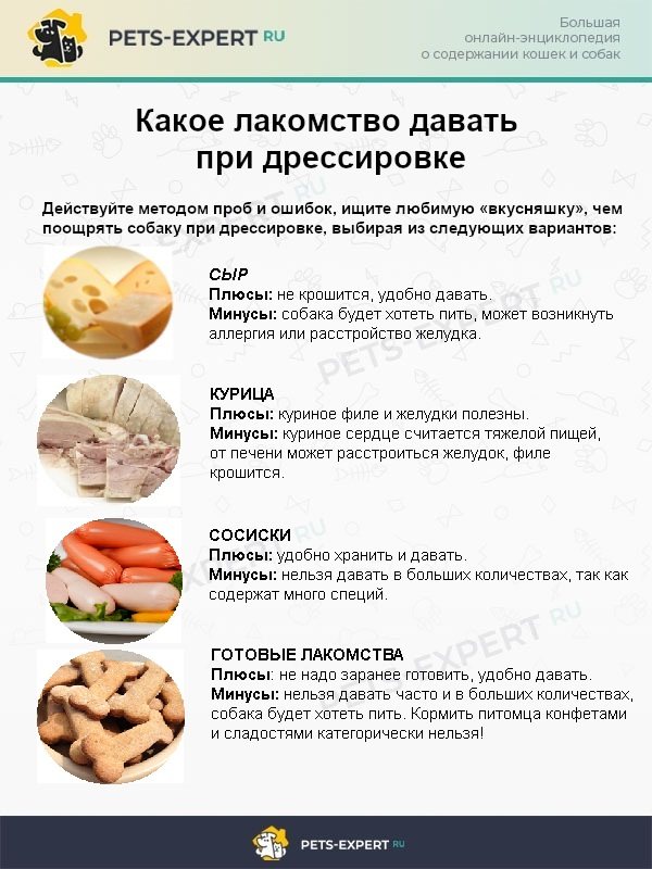 Субпродукты в рационе собак