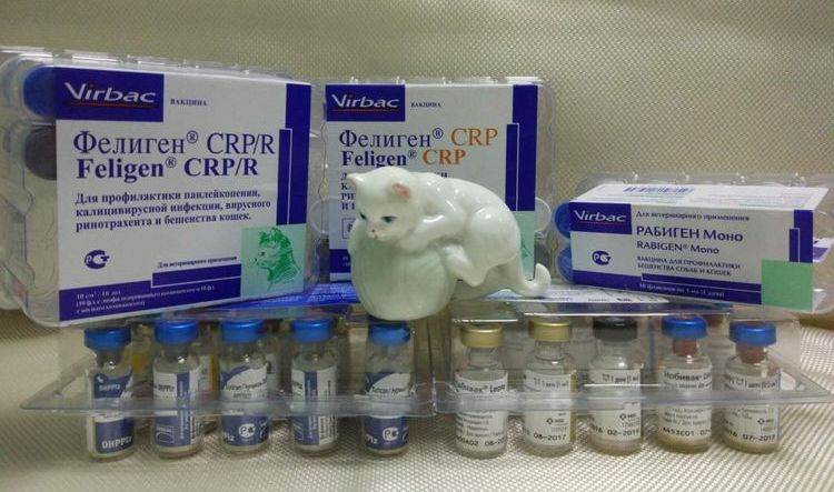 Фелиген вакцина для кошек против бешенства