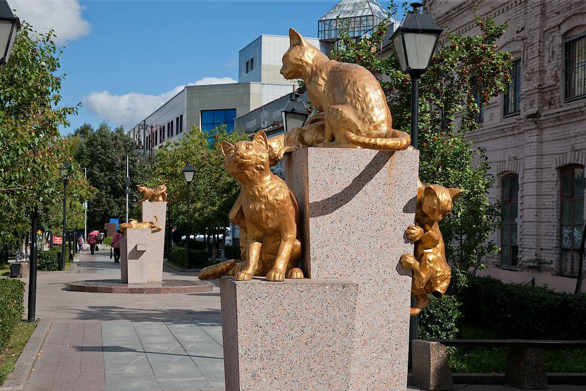 Сквер сибирских кошек – памятник, посвященный усатым спасительницам ленинграда :: syl.ru
