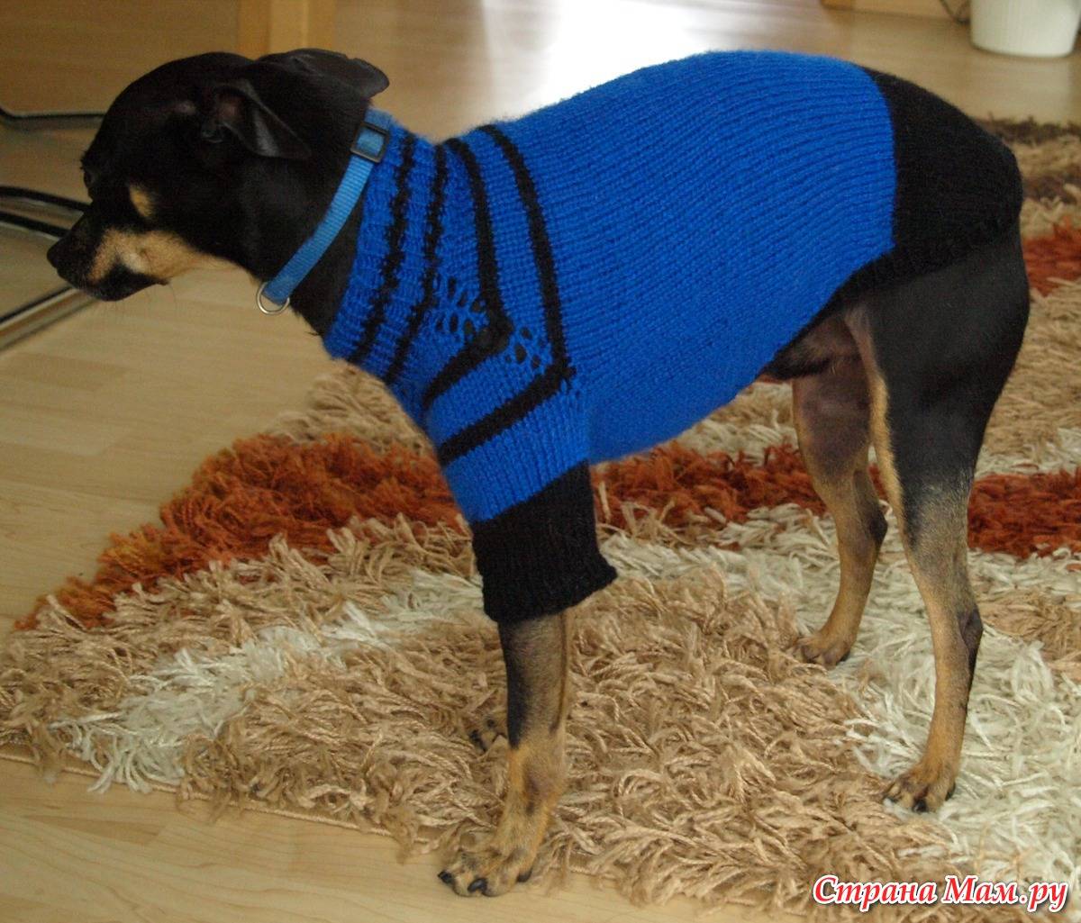 Теплый свитер для собаки своими руками