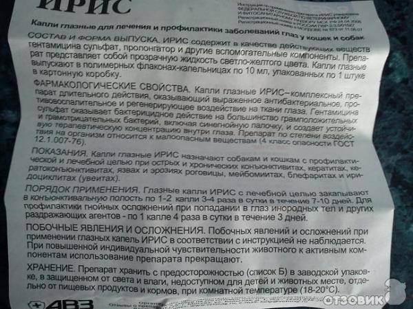 Глазные капли ирис для кошек - инструкция по применению