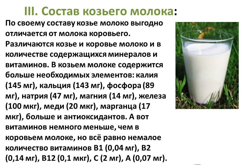 Можно ли собакам молоко – аргументы и факты в спорном вопросе | ваши питомцы