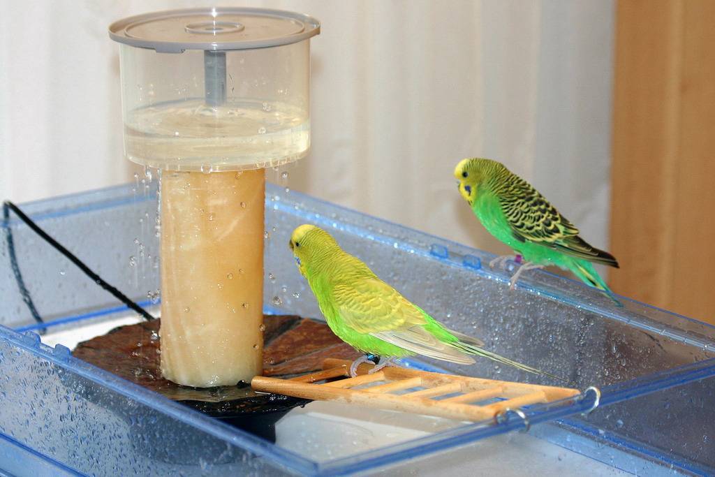 Минеральный камень для подкормки попугаев и других птиц