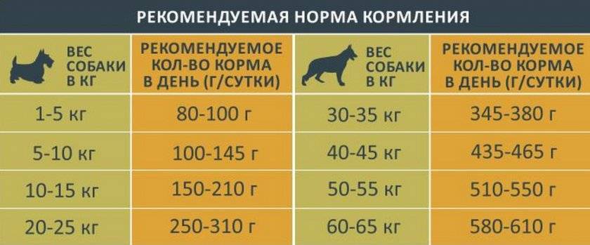 Дозировка сухого корма для собак: как определить, примеры