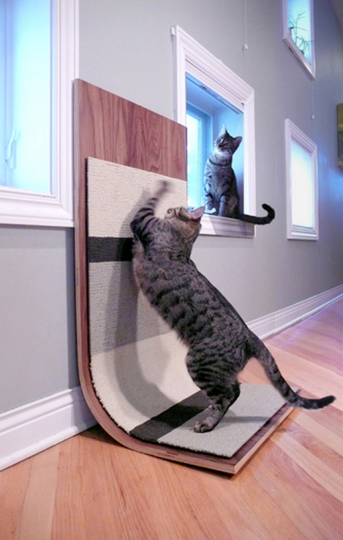 7 способов, как уберечь кота от падения из окна