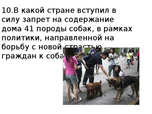 Разрешено ли содержание собаки в доме согласно православным традициям
