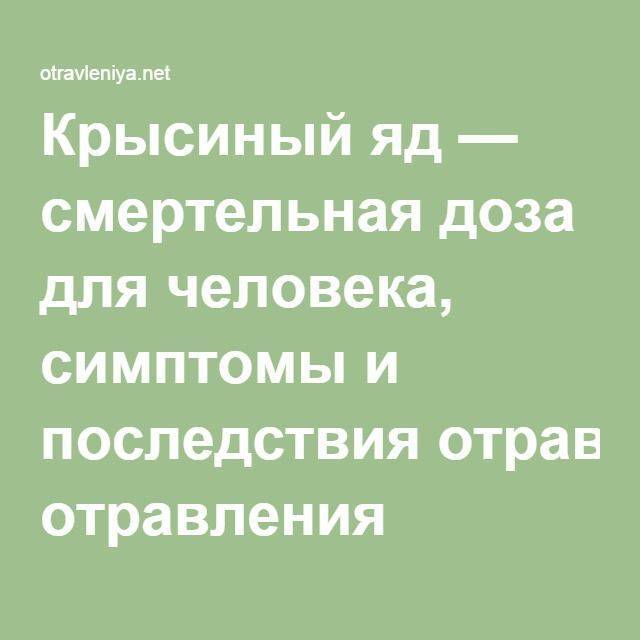 Отравление крысиным ядом у собак: симптомы, антидоты, лечение