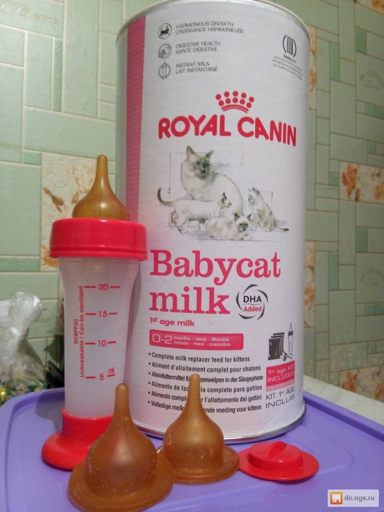 Кормить котенка детской смесью. Роял Канин молочная смесь для новорожденных котят. Смесь для котят новорожденных Роял Канин. Смесь для выкармливания котят Роял Канин. Смесь дл вскармливания КЛТ Т.