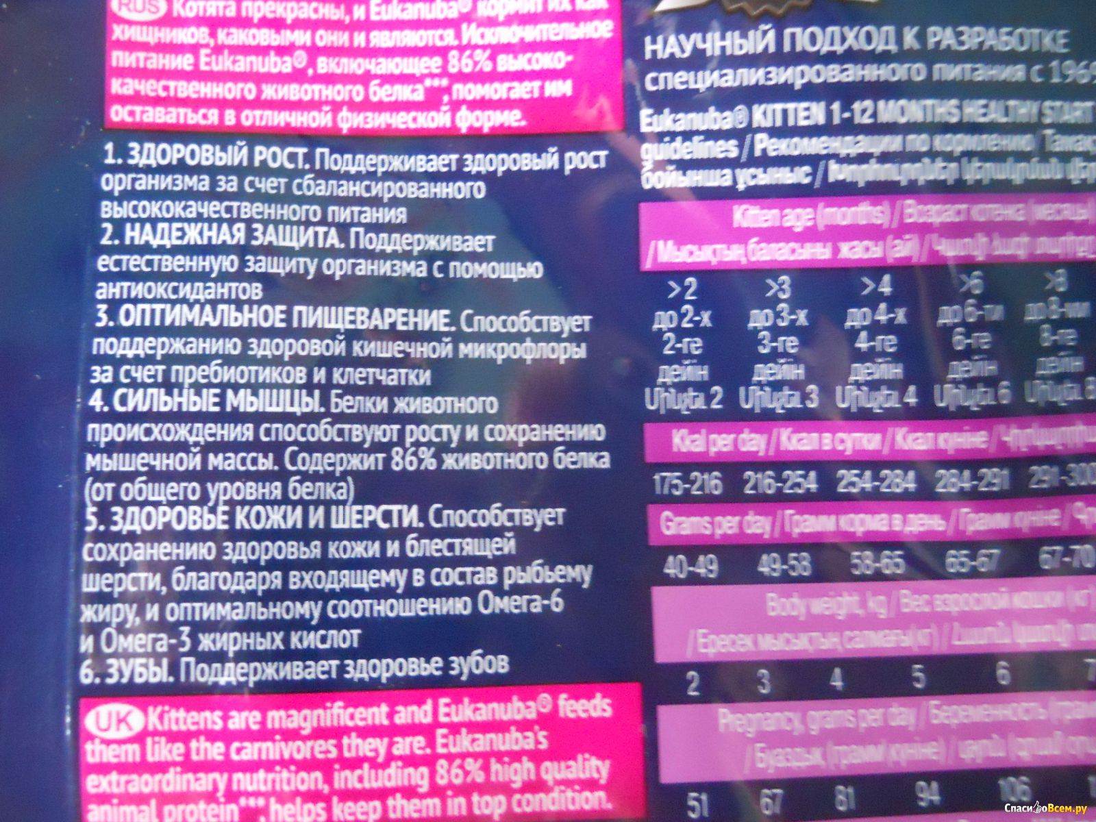 Eukanuba (эукануба): обзор корма для кошек, состав, отзывы