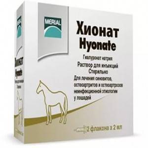 Хионат для собак: инструкция по применению и дозировка, отзывы ветеринаров
