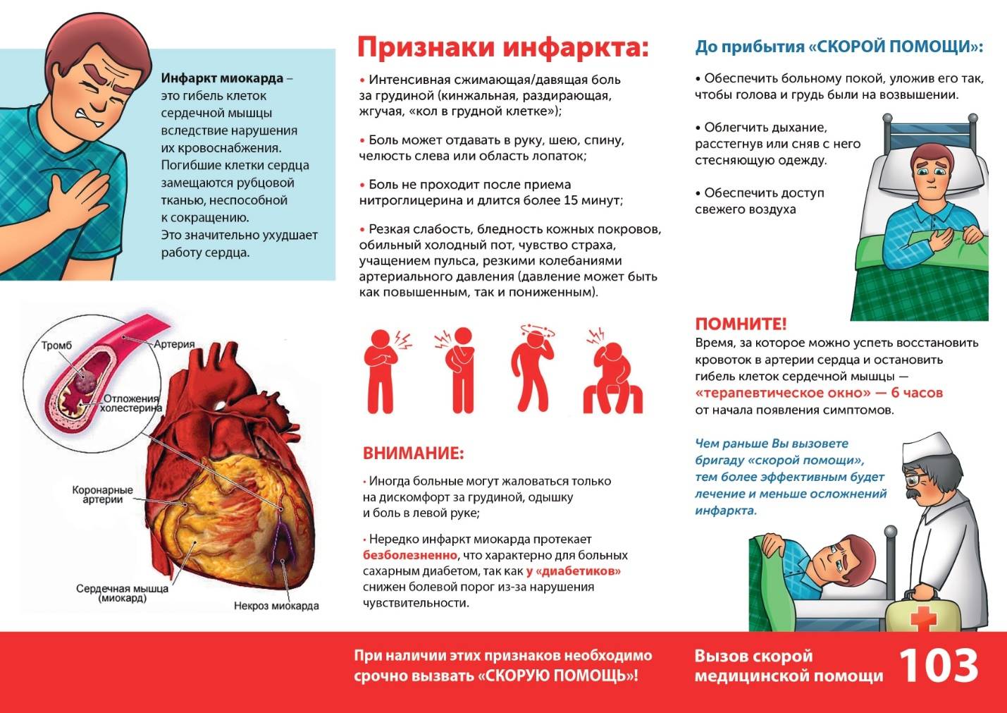 12 причин инфаркта у кошек - симптомы и лечение