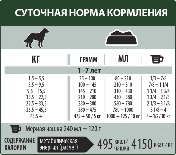 Сколько стоит передержка собаки в сутки