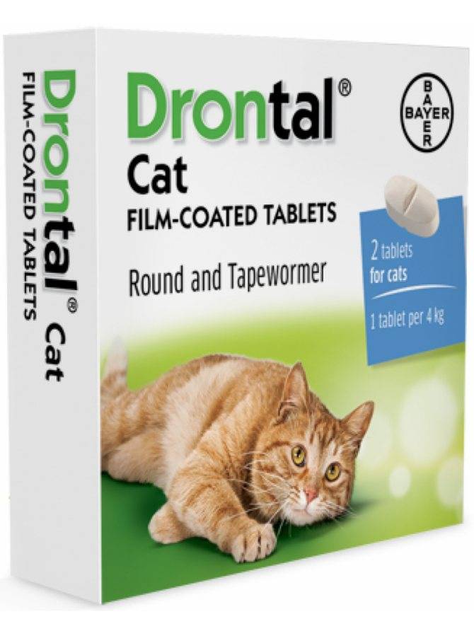 Что говорят люди, которые используют дронтал для кошек: отзывы. показания и противопоказания препарата