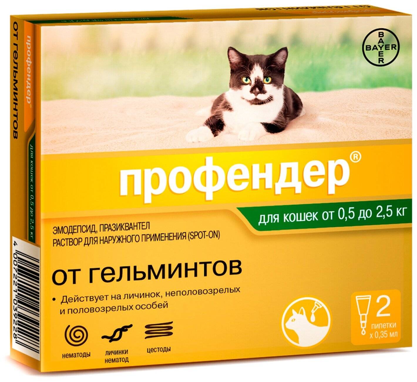 Профендер для кошек: полное описание препарата | ваши питомцы