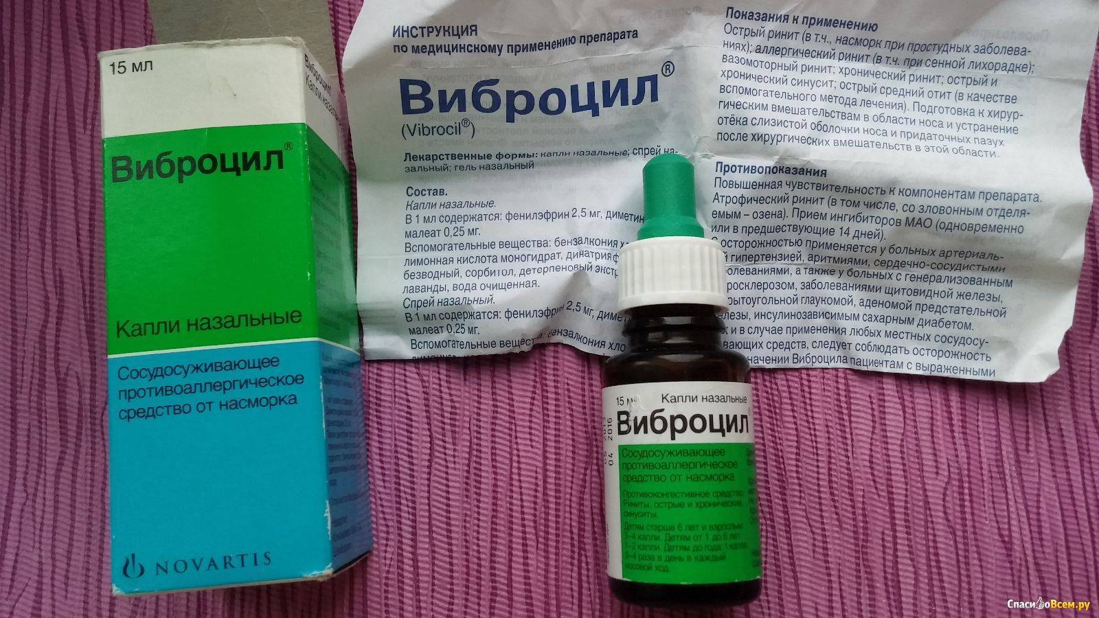 Чем опасен насморк у собак?