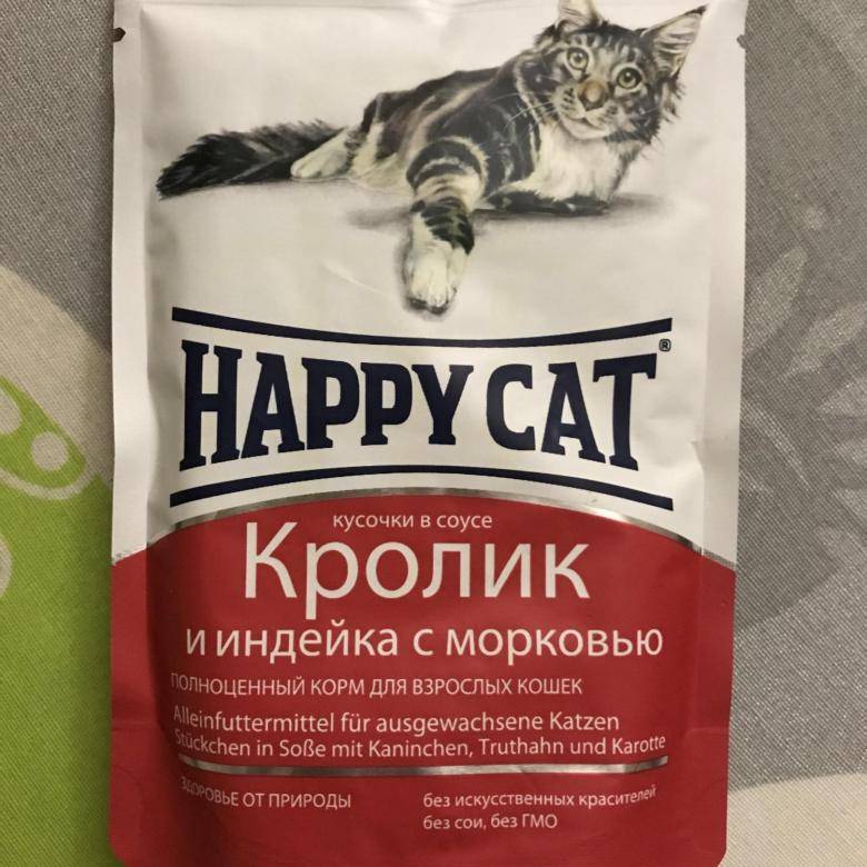 Фото happy cat