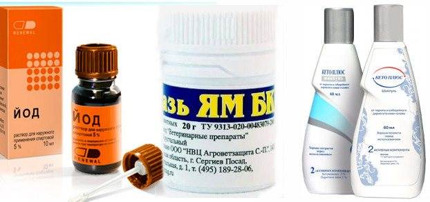 Чем лечить лишай?
