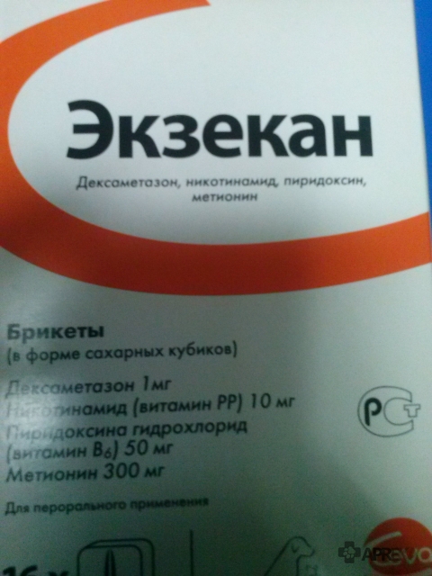 Экзекан для кошек и собак: инструкция по применению, цена и отзывы