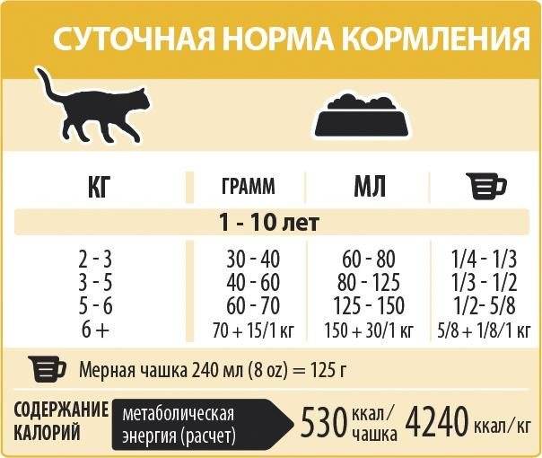 Кормление кошек. общие принципы